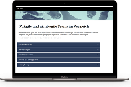 Agile Teams